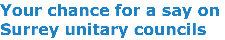 Your chance for a say on Surrey unitary councils